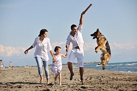partir en vacances avec son chien