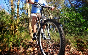 Activités en vacances