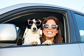 Conseil pour un trajet en voiture avec son chien