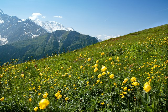 les Alpes du sud en plein été