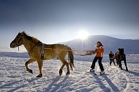 Ski Joering à l'Alpe d'Huez