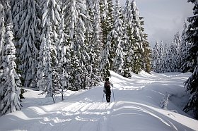 Ski de fond l'Alpe d'Huez