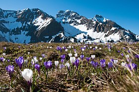 les beaux paysages de Savoie