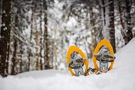 randonnées raquettes dans les forêts des Trois Vallées