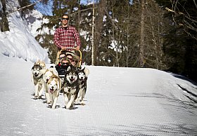 Conduite de chiens de traineaux aux Arcs