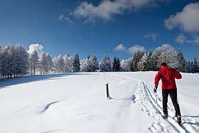 ski nordique paysages enchanteurs à la Plagne