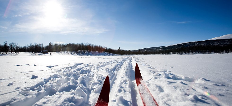 ski de fond ou nordique à la Plagne