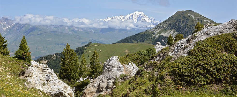paysages champêtres de la Plagne en Savoie