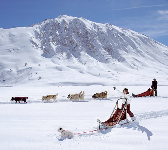 balade en chiens de traîneaux à Tignes