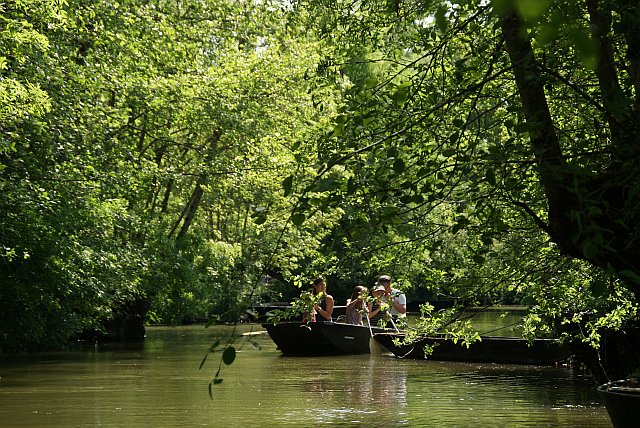 Le Marais poitevin en barque