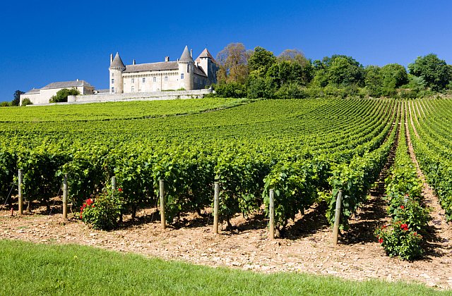 La Route des Vins en Gironde