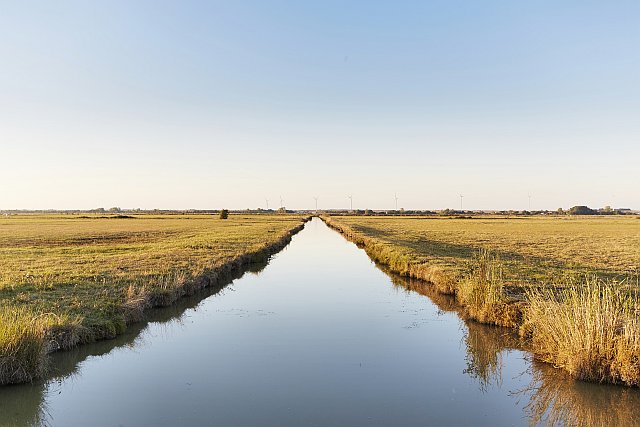 paysage du marais poitevin desséché