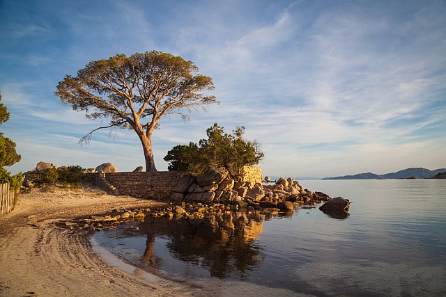 Vacances à la plage de palombaggia