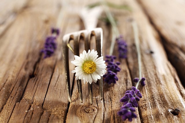 à table en Provence, en Languedoc Roussillon