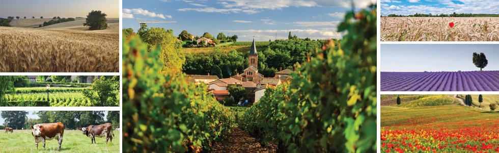 Des vacances à la campagne en France