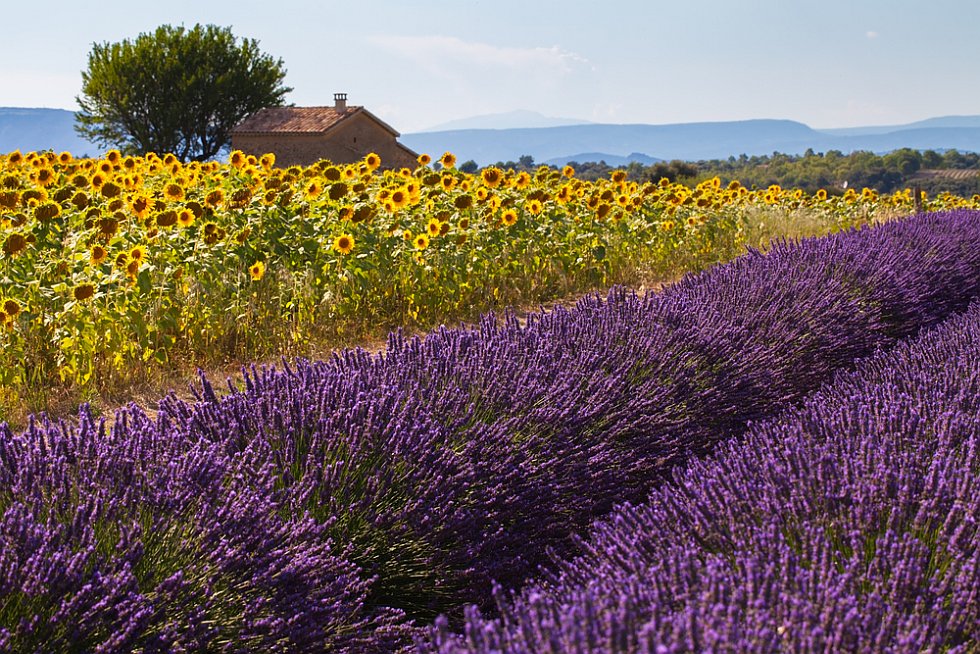 Destination Provence