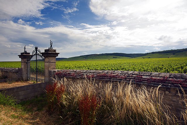 Profitez de votre location vacances en Bourgogne