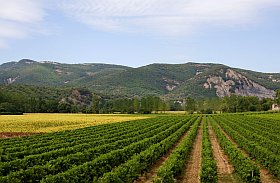 Tourisme vert en Ardèche
