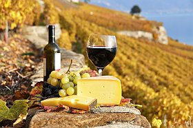 vin, fromage, produits du terroir Midi-Pyrénées