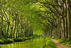 les berges du Canal du Midi