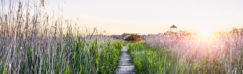 de belles vacances avec animation nature