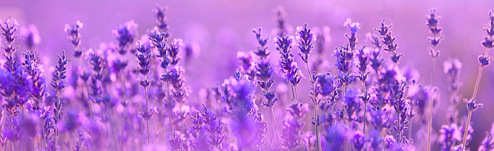 les sites naturels incontournables en France