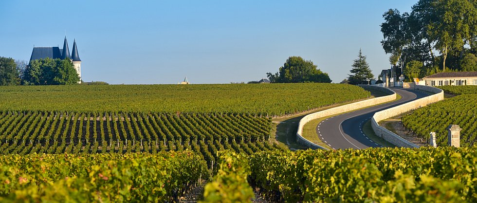 Vignobles sur la route des vins