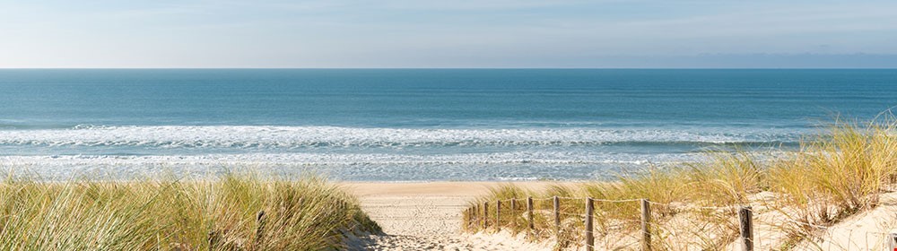 vap saint saens 1,538 Cap Ferret Stock Photos, High-Res Pictures, and Images - Getty Images main image 1